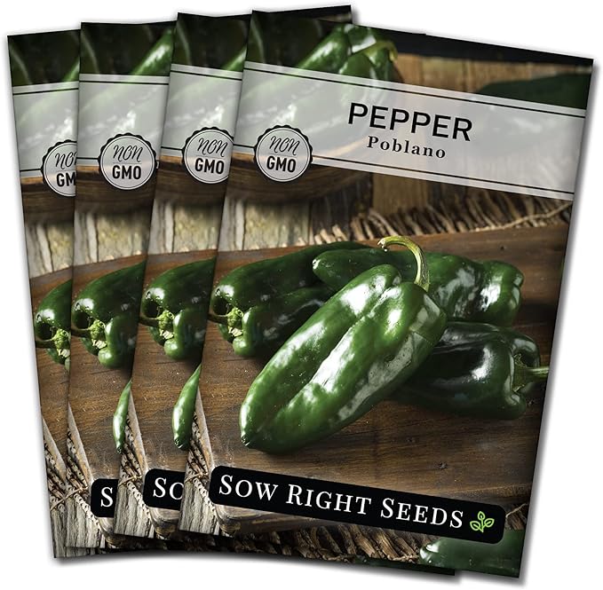 Sow Right Seeds - Poblano Pepper Seeds for Planting - Non-GMO Heirloom Packet with Instructions to Plant a Home Vegetable Garden - Hot Ancho Chile Variety to Grow, Spicy and Abundant (4)