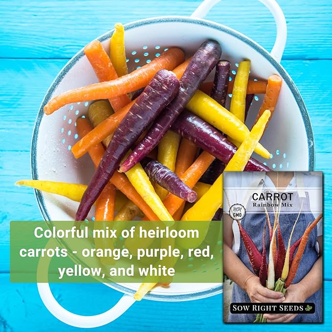 Sow Right Seeds - Rainbow Mix Carrot Seed for Planting - Non-GMO Heirloom Packet with Instructions to Plant a Home Vegetable Garden - Orange, Red, Purple, White Variety Mix for Colorful Harvest (2)