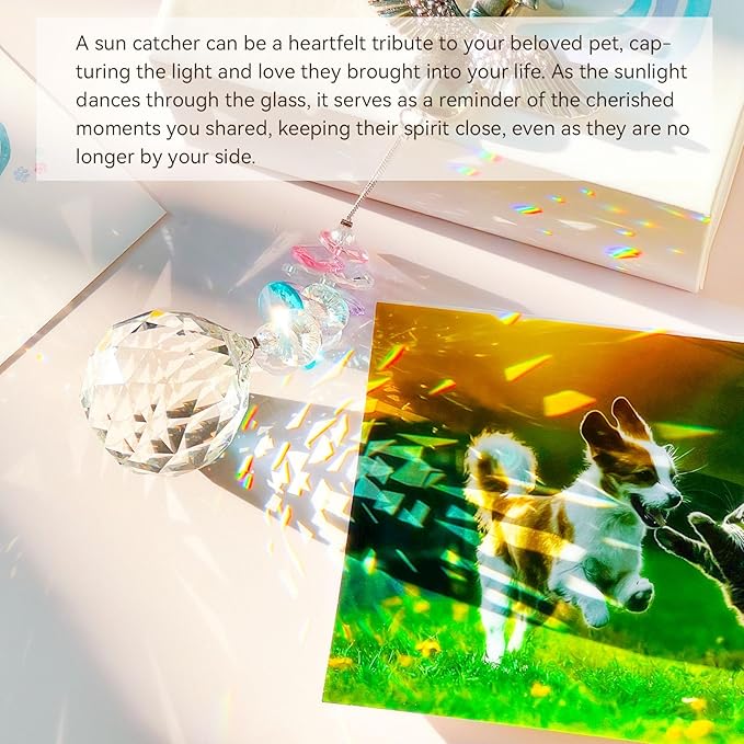 Loss of Dog Sympathy Gift - Dog Memorial Suncatcher, Pet Loss Crystals Prisms Rainbow Maker, Rainbow Bridge Dog Memorial Gifts, Passing Away Remembrance Sun Catcher, Pet Loss Bereavement Gift Idea