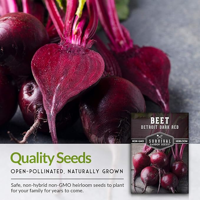 Survival Garden Seeds - Detroit Dark Red Beet Seed for Planting - 5 Packs with Instructions to Plant and Grow Delicious Root Vegetables in Your Home Vegetable Garden - Non-GMO Heirloom Variety