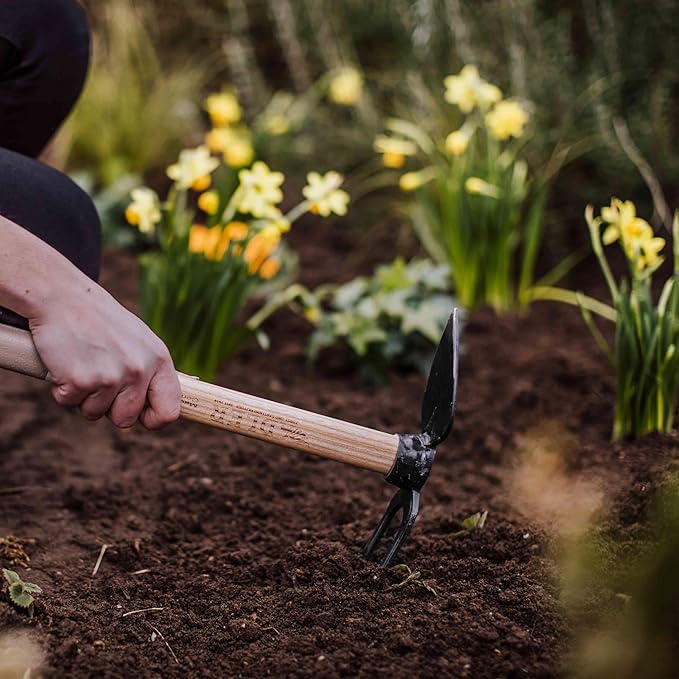 Adler - The Daisy Garden Hoe, Heavy Duty Yard Tool Lawn Care, Loosening Soil, Weeding, and Digging, Steel Head 3.9 inches, Wood Handle 17.7 inches (Rose)