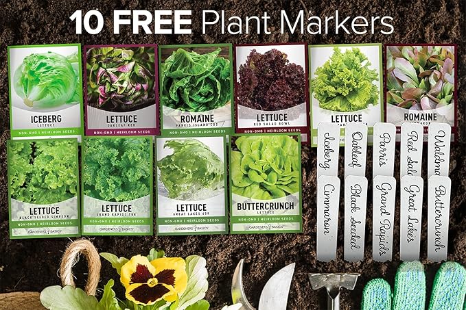 Gardeners Basics, Salad Greens Lettuce Seeds Heirloom Vegetable Seed 23,000 Seeds for Planting Indoors and Outdoor 10 Packs - Buttercrunch, Romaine, Iceberg, (and More) Leaf and Head Variety Pack