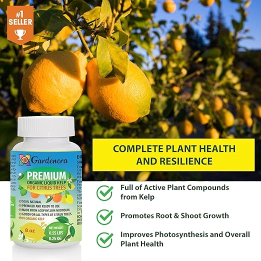 Premium Organic Kelp Concentrate for Citrus Trees - 8 oz - Amplify Citrus Fruit Size and Taste for a Satisfying Harvest