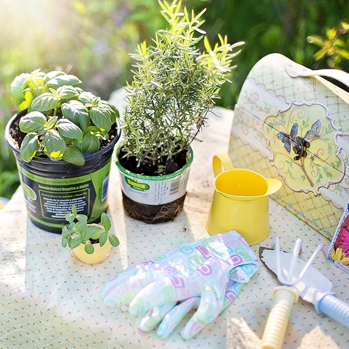 20 Culinary Herb Seeds Variety Pack, Non-GMO, Heirloom Collection with 6150+ Seeds for Indoor Hydroponic or Outdoor Garden Gift for Gardeners, New Home Housewarming Kitchen Live Plant Starter