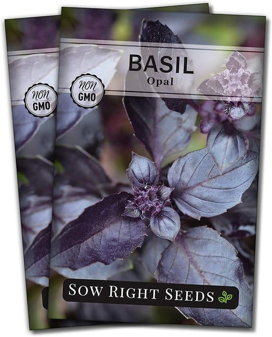 Sow Right Seeds - Opal Basil Seeds for Planting - Non-GMO Heirloom Packet with Instructions to Plant Indoors or Outdoor - Great for Hydroponics or Growing a Kitchen Herb Garden - Purple Leaves (2)