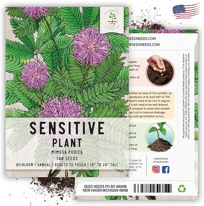 Seed Needs Sensitive Plant Seeds for Planting Mimosa pudica - Heirloom & Open Pollinated Annual Flowers - Pink Blooms with Leaves That React to Touch (2 Packs)