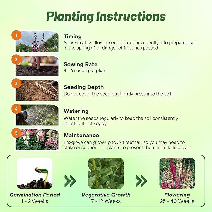 Outsidepride Digitalis Purpurea Foxy Foxglove Seeds – 5000 Pcs Biennial, Prolific, Tall Growing Flower Seeds w/Pollinator-Friendly Blooms for Shaded Gardens & Outdoor Landscapes (AAS Winner)