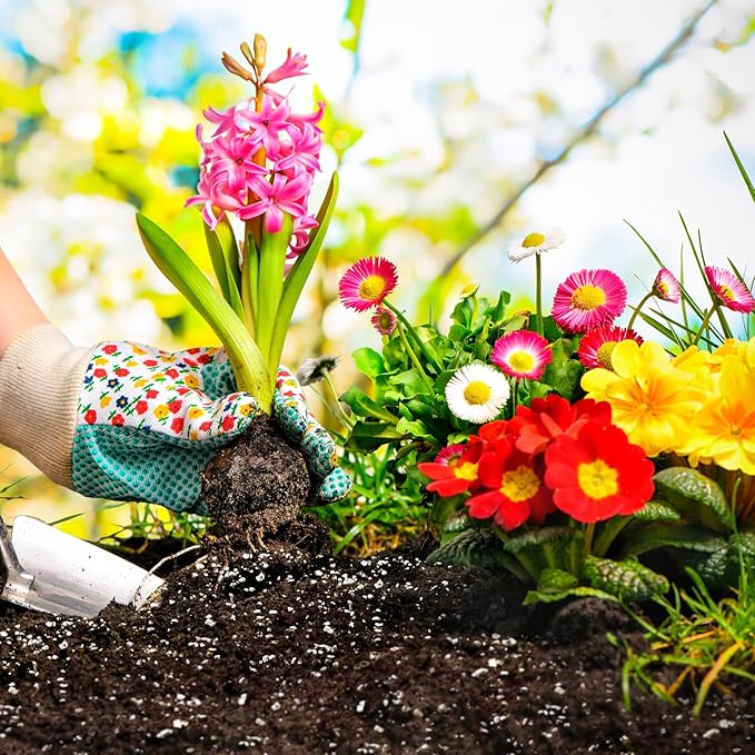 Halatool 10 QT Organic Aloe Plant Soil Potting Mix Garden Top Succulent Soil for Indoor & Outdoor Plants Bonsai Cactus Soil Potting Mix for Houseplants Flowers Vegetables & Herbs