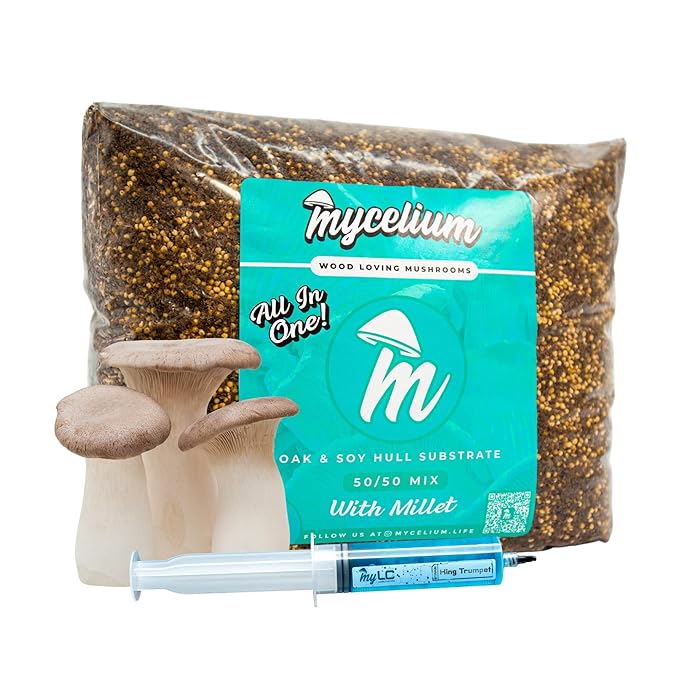 Mycelium’s King Trumpet Gourmet Mushroom Kit | 8LBS Oak & Soy Hull with Millet Blend | 20ML Liquid Culture Syringe | All-in-One Complete Cultivation Kit | Pre-Sterilized - Home Growing Made Easy