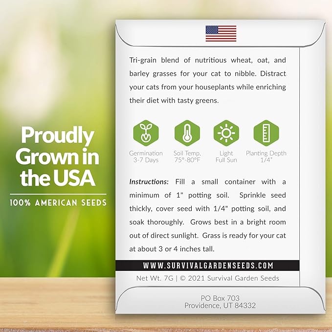 Cat Grass Seed for Planting - 2 Packets with Instructions to Plant & Grow Greens for Your Pet Indoors or Outdoors in a Container or Garden - Non-GMO Heirloom Variety - Survival Garden Seeds