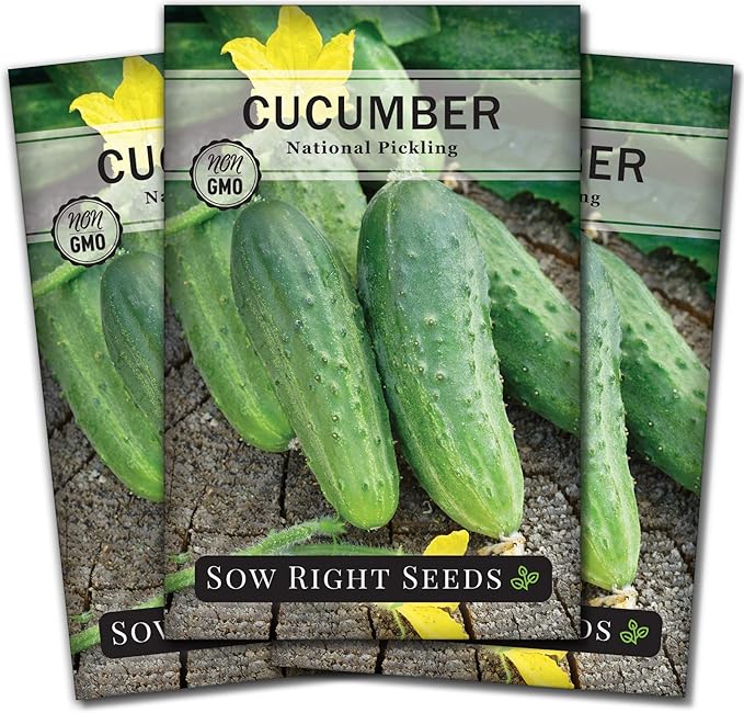 Sow Right Seeds - National Pickling Cucumber Seeds for Planting - Non-GMO Heirloom Packet with Instructions to Plant and Grow a Home Vegetable Garden - Famous Variety for Homemade Pickles (3)