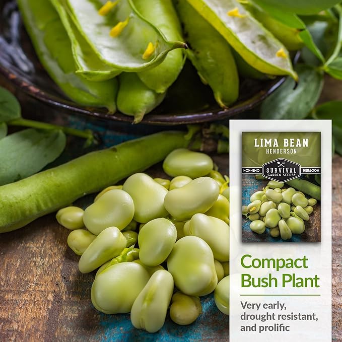 Survival Garden Seeds - Henderson Lima Bean Seed for Planting - 2 Packs with Instructions to Plant & Grow Tender White Butter Beans in Your Home Vegetable Garden - Non-GMO Heirloom Variety Plant Seed