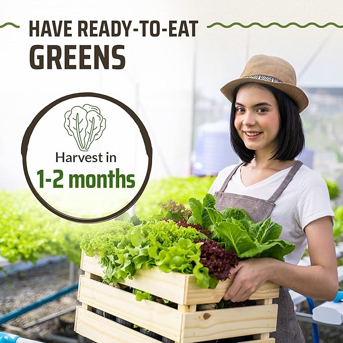 Rooted Acre 8 Lettuce & Greens Seed Vault - 1200 Non-GMO, Vegetable Heirloom Seeds for Planting Indoor or Outdoor - Hydroponic Garden Seeds - Salad Greens Mix - Spinach, Kale, Lettuce, and More