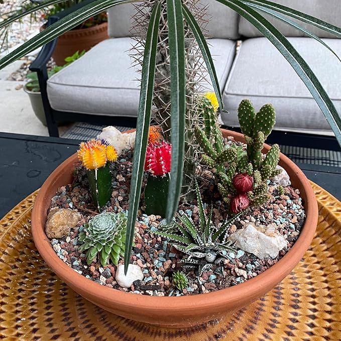 2.4Lb Horticultural Lava Rock-1/5inch Lava Rocks for Plants,Succulent Soil Amendment,Decorative Cactus Soil Potting Mix,Volcanic Rock for Aquarium Fairy Gardening Top Dressing Plant Drainage