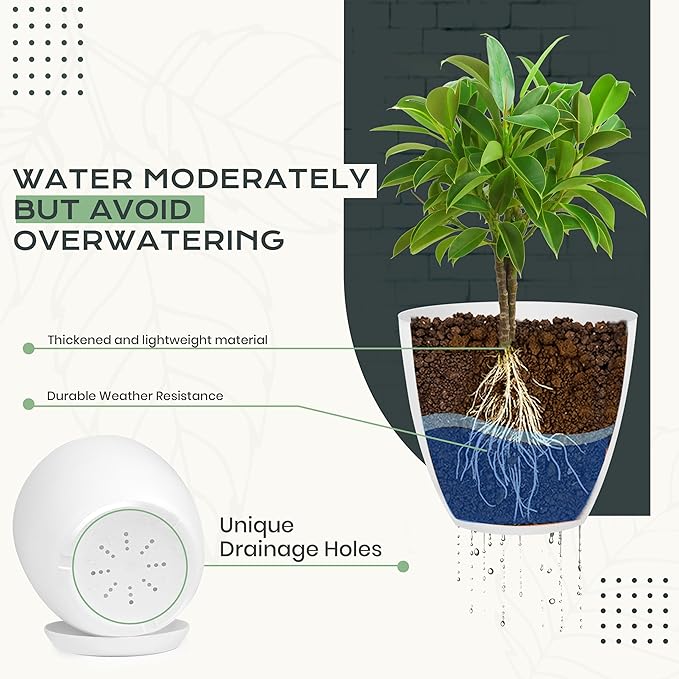 Utopia Home - Plant Pots Indoor with Drainage - 7/6.6/6/5.3/4.8 Inches Home Decor Flower Pots for Indoor Planter - Pack of 10 Plastic Planters for Indoor Plants, Cactus, Succulents Pot - White