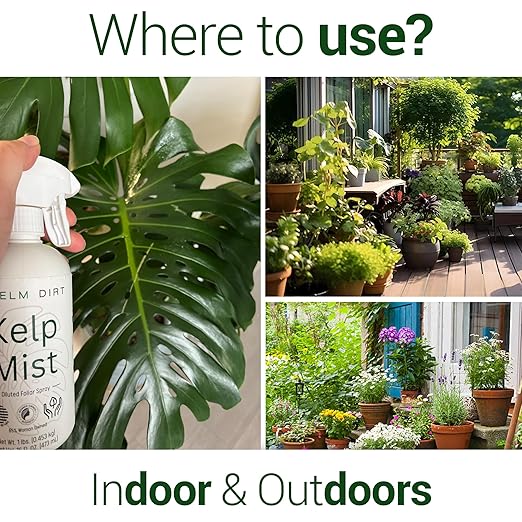 Elm Dirt Kelp Mist 100% Organic Plant Spray - Foliar Spray for Plants Food Indoor House Plants & Outdoor Plant food | Help Plant Nutrients Efficiently & Boost Soil Activity - Kelp Foliar Spray (16 oz)