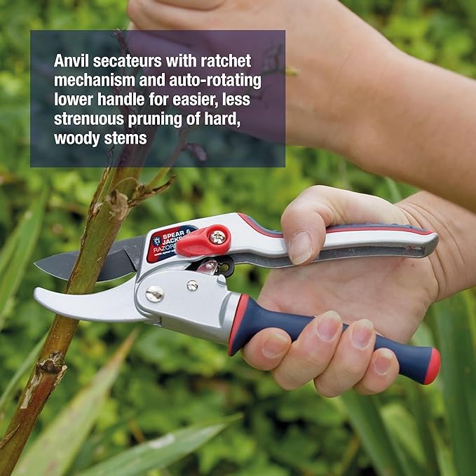 Spear & Jackson 6458RS Razorsharp Ratchet Anvil Pruners / Pruning Shears with Rotating Ergonomic Handle, Blue, 21.5 x 6.5 x 2.5 cm