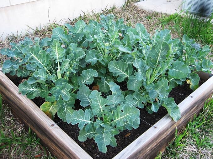 Water Storing Crystal Soil Additive Commercial Grade (5)