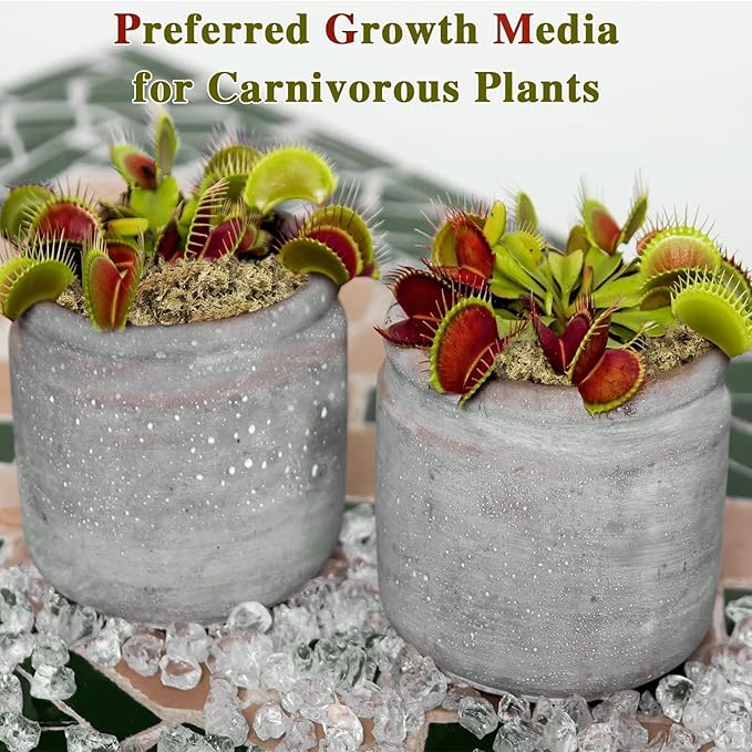 Halatool Sphagnum Moss, 3OZ(4QT) Natural Sphagnum Moss for Plants, Premium Long Fiber Dried Sphagnum Peat Orchid Moss for Repotting Carnivorous Succulents Garden Flowers Terrarium and Reptiles