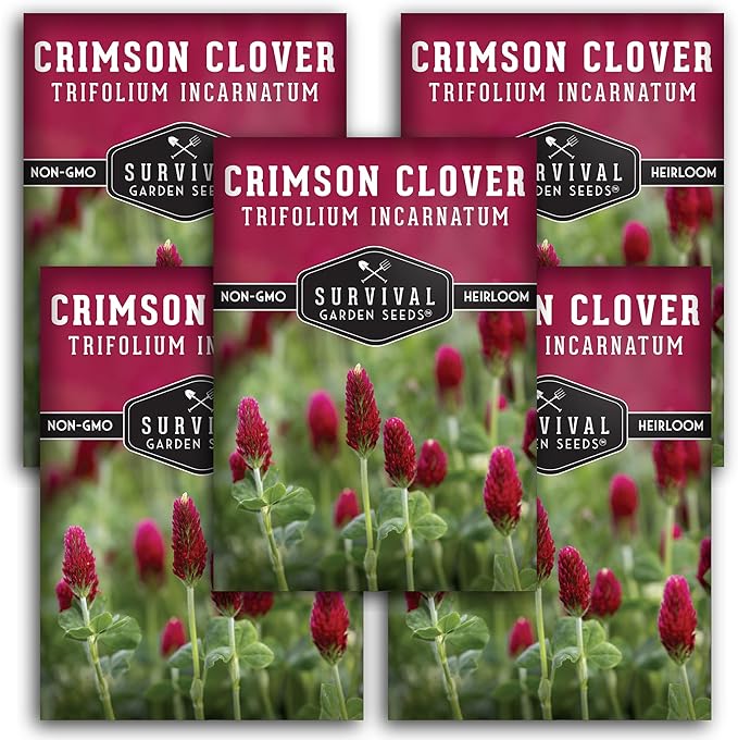 Crimson Clover Seed for Planting - 5 Packets with Instructions to Plant & Grow Flowers or Cover Crop in Your Home Vegetable Garden - Non-GMO Heirloom Variety - Survival Garden Seeds