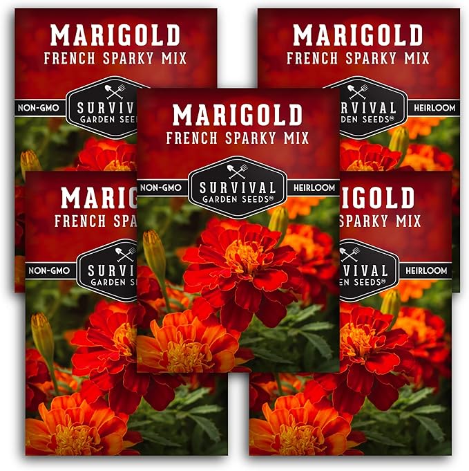 Survival Garden Seeds - French Sparky Marigold Seed for Planting - 5 Packs with Instructions to Plant and Grow Large Tagetes Patula Flowers in Your Home Vegetable Garden - Non-GMO Heirloom Variety
