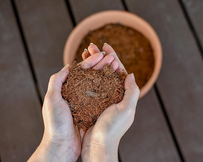 Natural Sphagnum Peat Moss (4 Quarts), Gardening Soil additive and Carnivorous Plant Soil Media