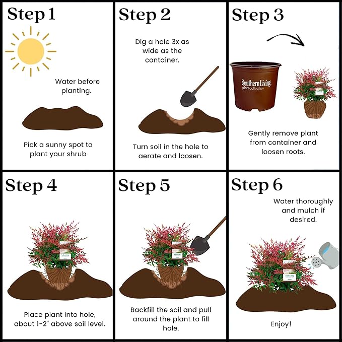 Southern Living Obsession Nandina 2 Gal, Bright Red Foliage