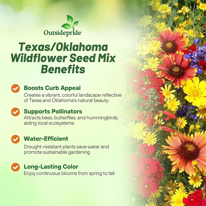 Outsidepride Texas & Oklahoma Wildflower Seed Mix - 1 lb. Drought-Tolerant, Blend of Annual & Perennial Flower Seeds for Vibrant, Pollinator-Friendly Gardens, Thrives in Full Sun & Well-Drained Soil