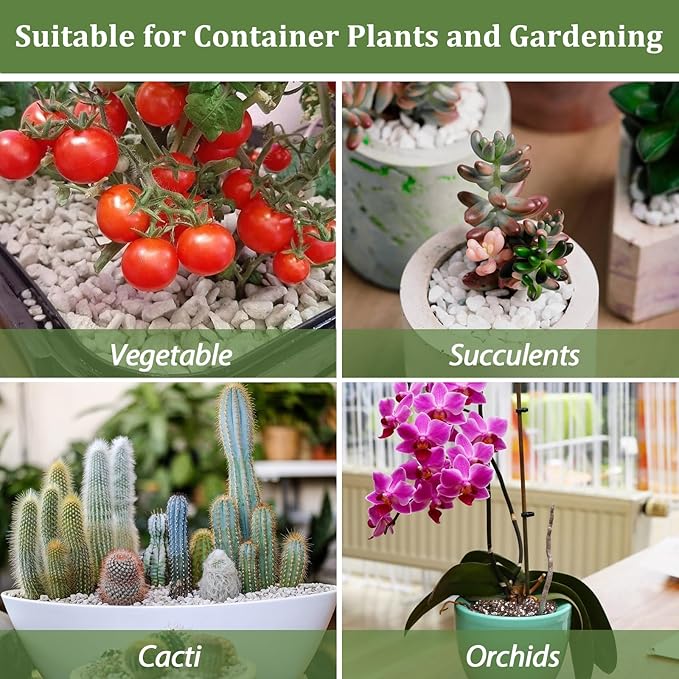 Riare 2 Quarts Organic Perlite for Plants - Horticultural Perlite Soil Amendment for Plants Potting Mix, Natural Chunky Perlite Soil Additive Conditioner Improve Root Growth, Drainage and Ventilation