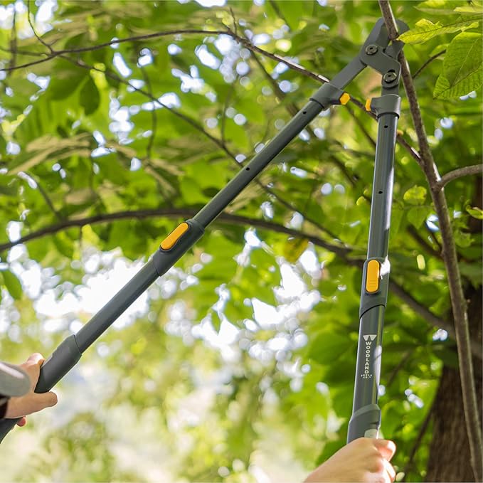Woodland Tools Co. Heavy Duty Extendable Lopper – 25"-37" Telescoping Handles, LeverAction Mechanism, 1.75" Cut Capacity, Ideal for Tree and Branch Trimming