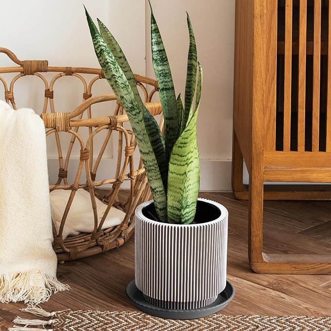 MUDEELA 2 Pack of 12 inch Plant Saucer, Durable Plastic Plant Trays for Indoors, Grey Plastic Flower Plant Pot Saucer, Made of Thicker, Stronger Plastic, with Taller Design