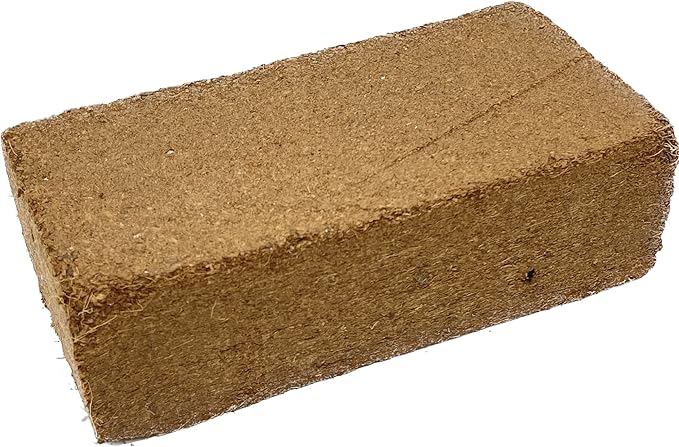 Seed Needs, Sunflower Seed Packet Collection Seed Starting Bundle (Includes 6 Individual Seed Packets, 36 Starter Pots & 1 Expandable Coco Coir Brick) Heirloom, Open Pollinated & Untreated