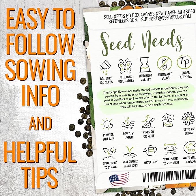 Seed Needs, Black-Eyed Susan Vine Seeds - 100 Heirloom Seeds for Planting Thunbergia alata - Annual Vining Flowers to Cover a Fence or Trellis (5 Packs)