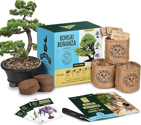 Bonsai Tree Kit - Grow 3 Mini Bonsai Trees, Indoor Plant Growing Kit - Bonsai Starter Kit with Bonsai Seeds, Soil, Planters & Shears, Gardening Gifts for Women, Fathers Day Gardening Gifts