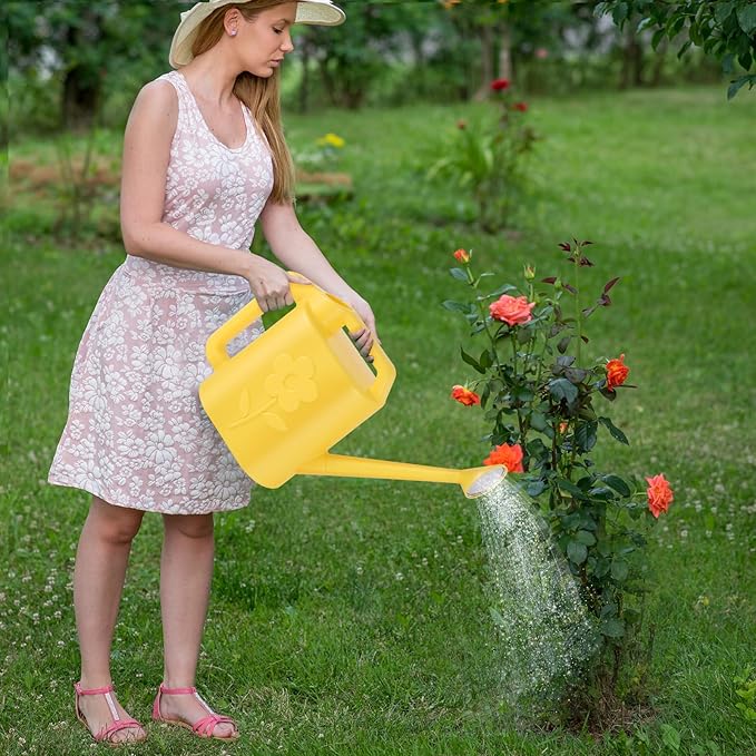 2 Gallon Watering Can for Indoor Plants, Garden Watering Cans for Outdoor Plant House Flower, Modern Plant Watering Can Large Long Spout with Sprinkler Head