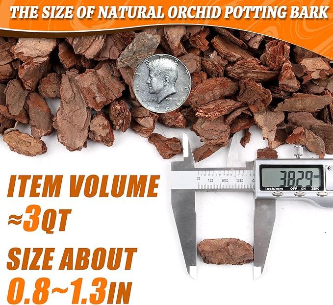 AVALUTION Orchid Potting Bark-3QT Organic Orchid Bark for Plants, All Natural Pine Bark Wood Chips for Houseplant Mulch, Orchid Plants Root Development, Mulch for Potted Plants