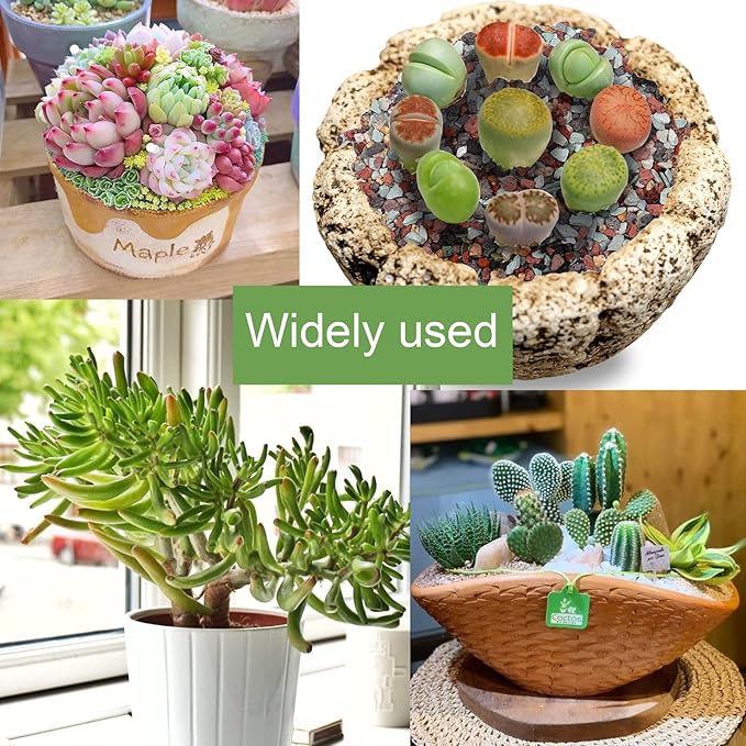 Enhance Your Plant's Growth with Our 2.5lb Premium Horticultural Gritty Mix Lava Rock Pebbles Maifanitum Potting Soil Amendment -Perfect for Succulents, Cactus, Bonsai, Terrariums, and Fairy Gardening