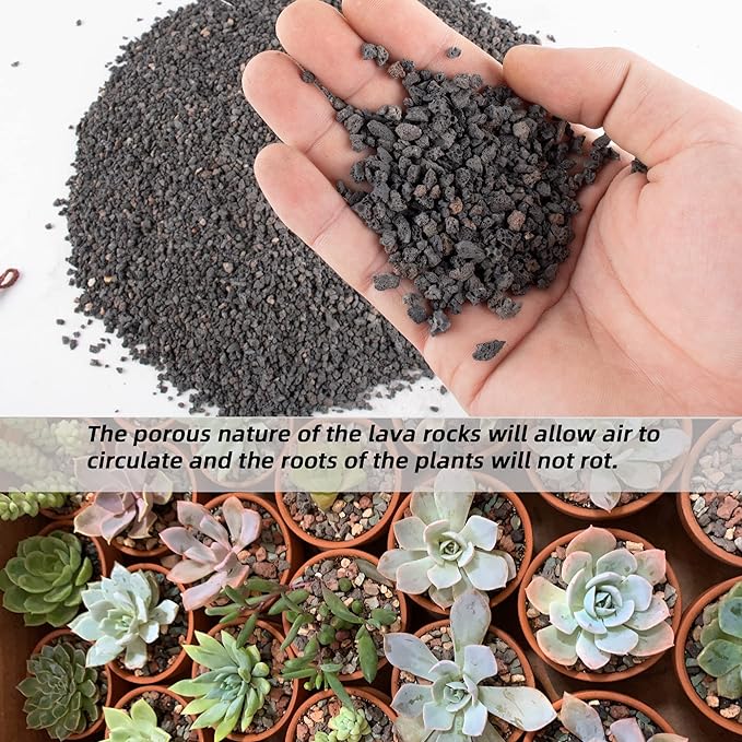 7LB Black Horticultural Lava Rock Soil for Decorative Landscaping Bonsai, Cacti, Succulents Plants Top Dressing for Release Excess Water