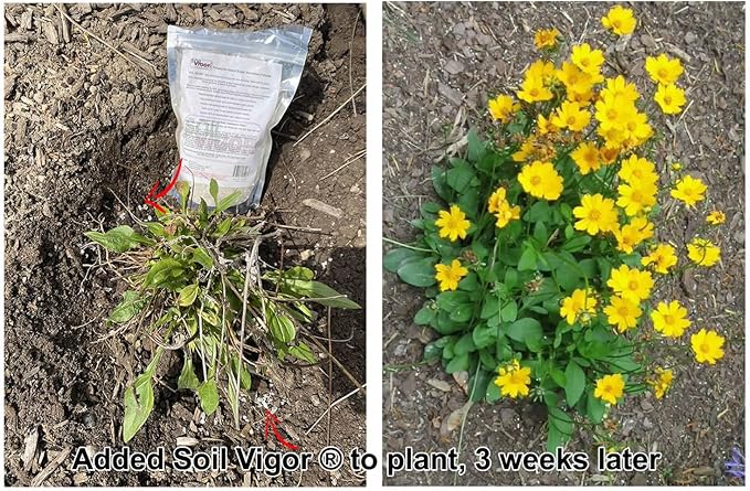 Water Storing Crystal Soil Additive Commercial Grade (2)