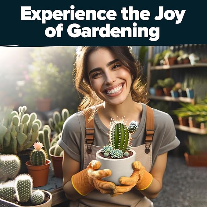 HOME GROWN Succulent & Cactus Seed Kit for Planting – Premium Starter Kit with 4 Planters, Drip Trays, Markers, Seed Mix, and Soil - Perfect DIY Gift for Plant Enthusiasts