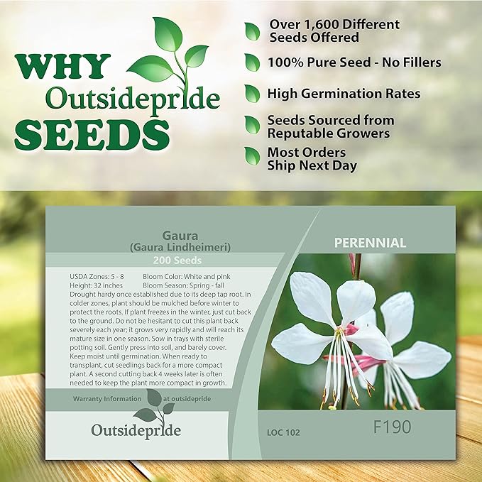 Outsidepride 200 Seeds Perennial Gaura Flower Seeds for Planting