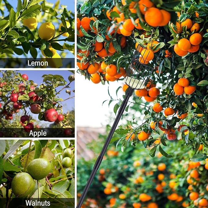 Fruit Picker Pole Tool with Basket, 7.3 FT (88 Inch) Adjustable Fruit Grabber Reacher Tool Long Handle Fruit Catcher for Apple Lemon Pear Citrus Mango Tree Gardening Supplies, Black