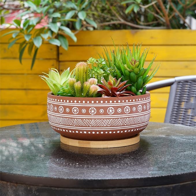 8 Inch Terracotta Succulent Planter Pot with Drainage Hole and Bamboo Tray, Round Shallow Bonsai Pot for Indoor Plants