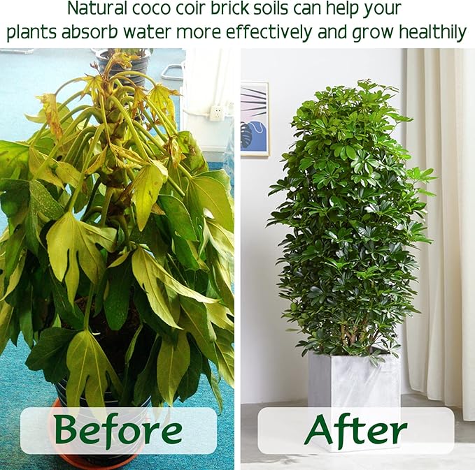 ZeeDix 4 Pcs Premium Coco Coir Brick- 100% Organic Compressed Coconut Coir Starting Mix, Coco Coir Fiber with Low EC and PH Balance for Gardening, Potting Soil, Herbs