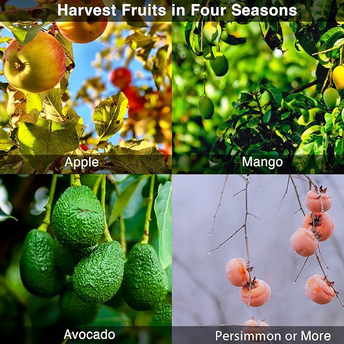 DonSail Fruit Picker Pole with Basket Telescoping, Adjustable Citrus Orange Picker Pole with Basket 35-150 inch Long Handle, Mango Avocado Fig Acorn Pear Pomelo Chery Lemon Picker for Tree