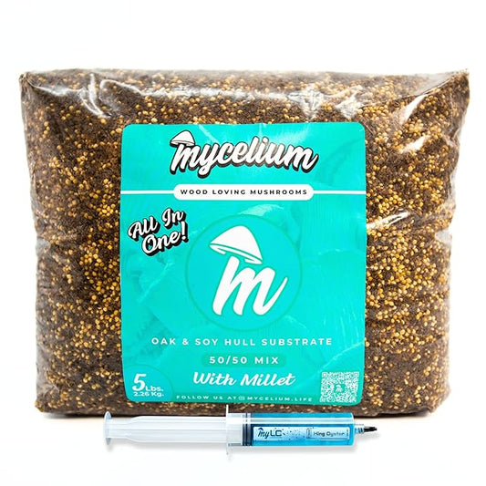 Mycelium’s King Oyster Gourmet Mushroom Kit | 5LBS Oak & Soy Hull with Millet Blend | 20ML Liquid Culture Syringe | All-in-One Complete Cultivation Kit | Pre-Sterilized - Home Growing Made Easy
