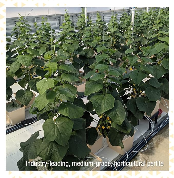 Perlite+ Silica – Superior Soilless Substrate for Strong Plant Growth, Ideal for Potting Soil, Transplanting, and Hydroponic Systems, OMRI-Listed and 100% Organic (3 CF)