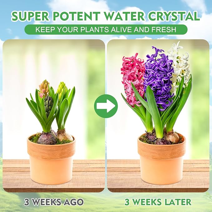 XSEINO 5LB Water Storing Crystals for Plants, Water Gel Solves Plant Over-Watering and Drought Problems, Keeps The Soil Moist, Small Water Storing Polymer Crystals for Plants