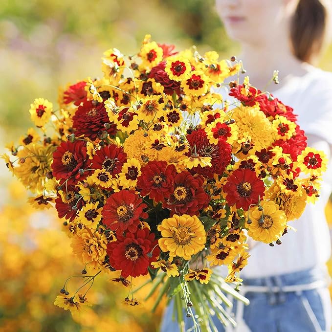Eden Brothers Fiery Flower Mixed Seeds for Planting, 1 lb, 480,000+ Seeds with Zinnia Scarlet Flame, Plains Coreopsis | Attracts Pollinators, Plant in Spring or Fall, Zones 3, 4, 5, 6, 7, 8, 9, 10