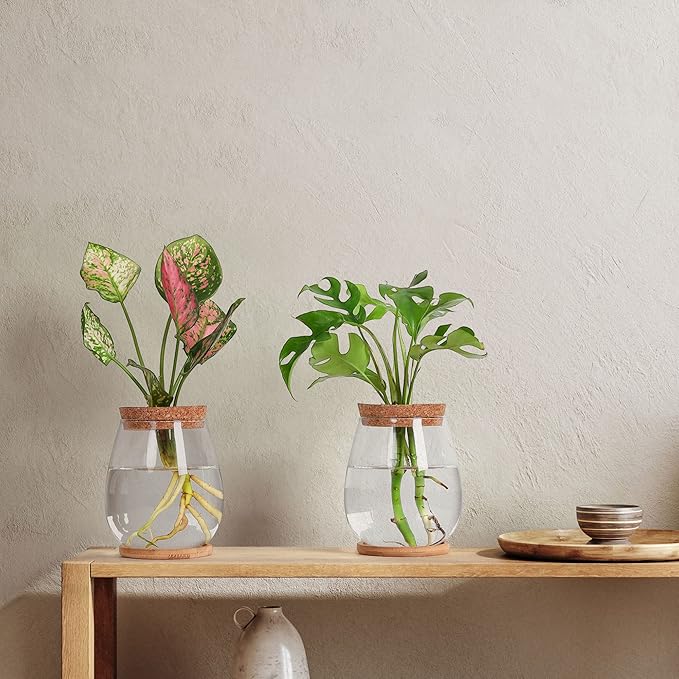 Propagation Stations, 2 Pcs Glass Planters with Wooden Tray & Lid, 5.2x4.2 inches, for Hydroponic Plants, Home Decor, Gardening Gifts for Women